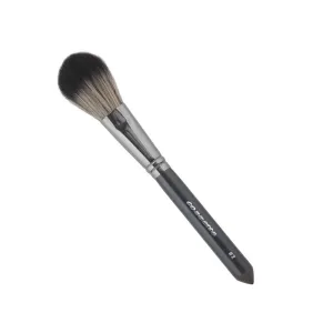 Cozzette Brushes for Face