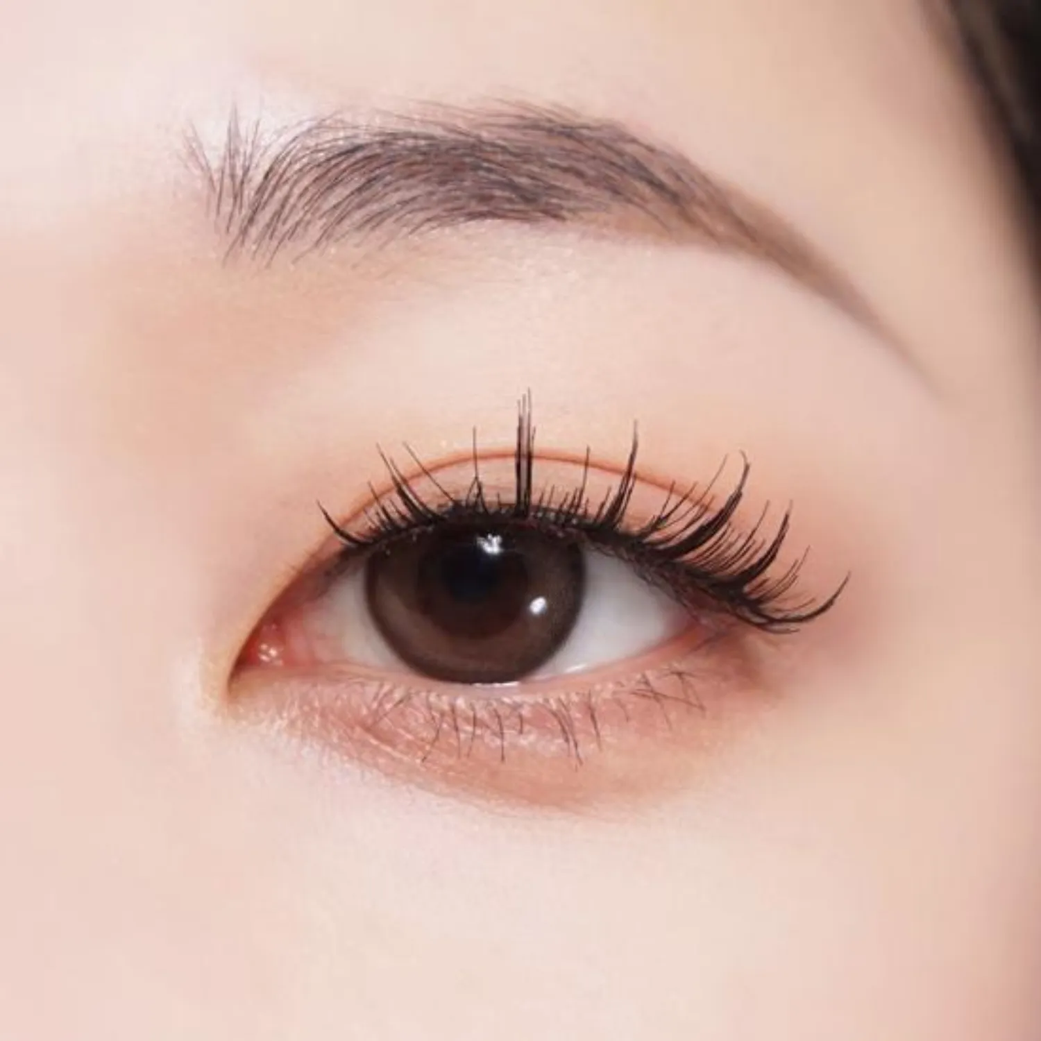 Point Cutting Lashes 03 Volume Up Jccurl (12mm) (2 Sets)