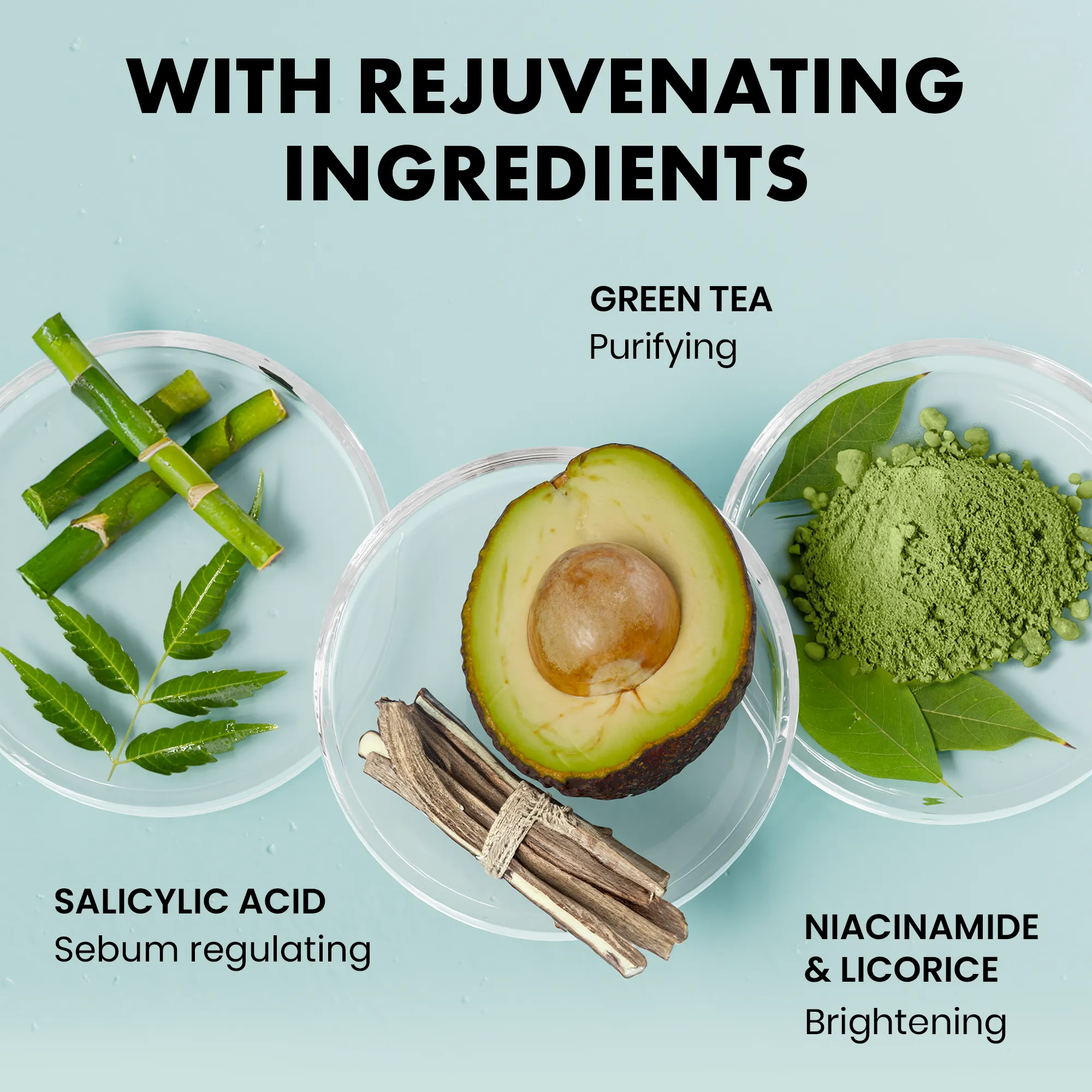 Salicylic Acid Cleanser