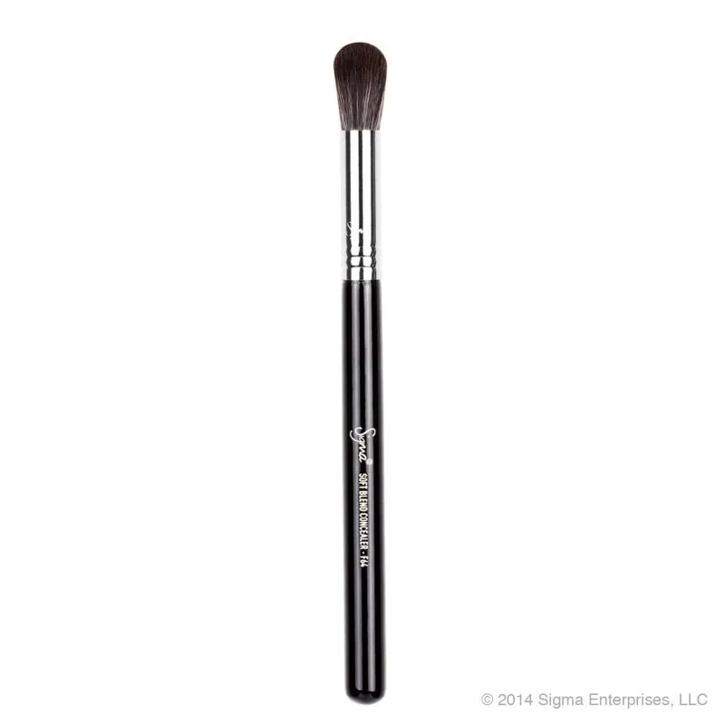 Sigma Beauty F64 Soft Blend Concealer Brush